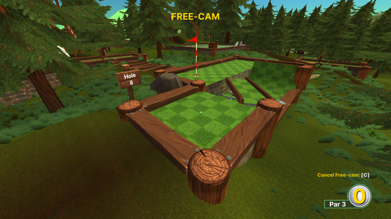 Hole 8 layout
